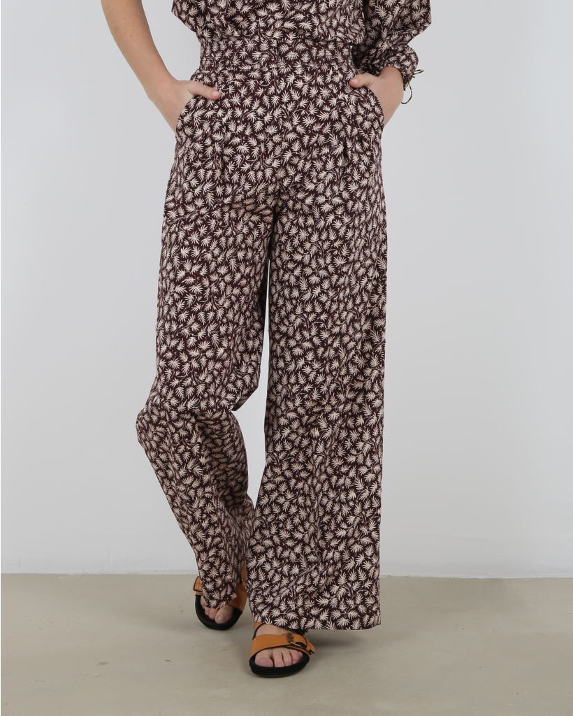 Aciano Pantalon Cacao