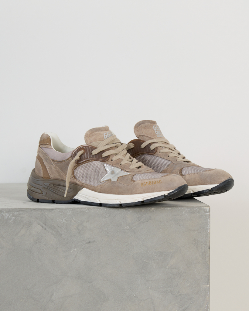 Dad Star Sneakers Met Mesh Suede Beige Silver