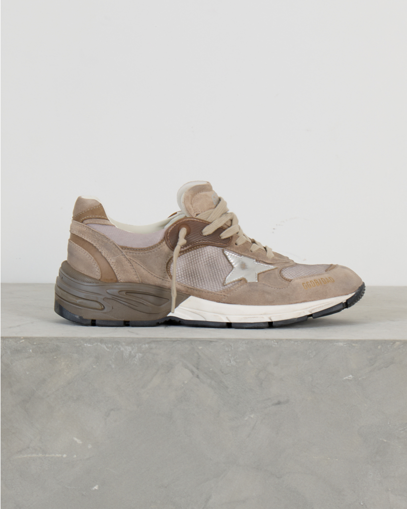 Dad Star Sneakers Met Mesh Suede Beige Silver