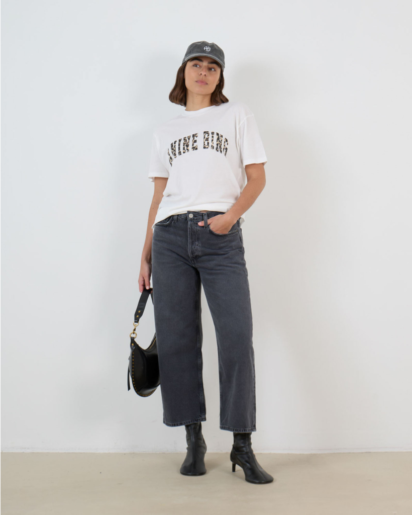 Arc Jean Symbolic