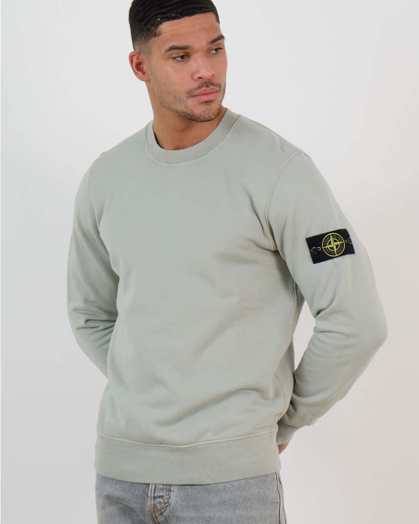 6100060 Crewneck Sweatshirt Sage Green 