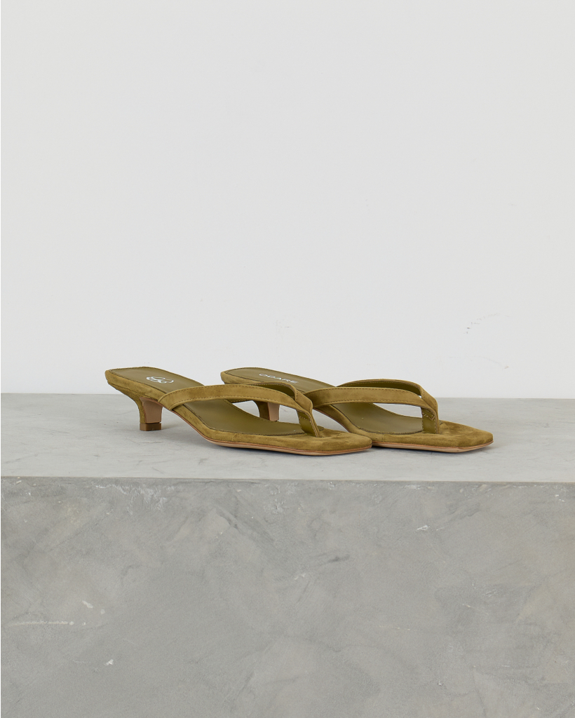 Cora Camoscio Muil Aloe