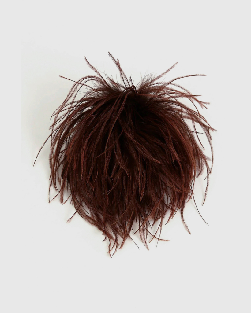 Meryl Broche Ostrich Feather Brown