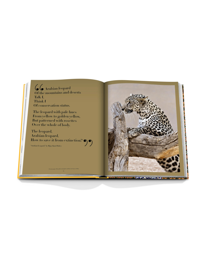 Assouline Arabian Leopard