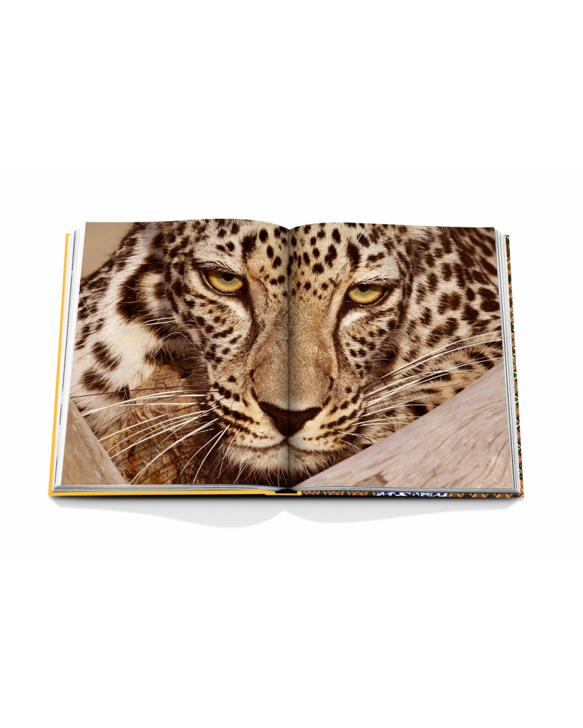 Assouline Arabian Leopard
