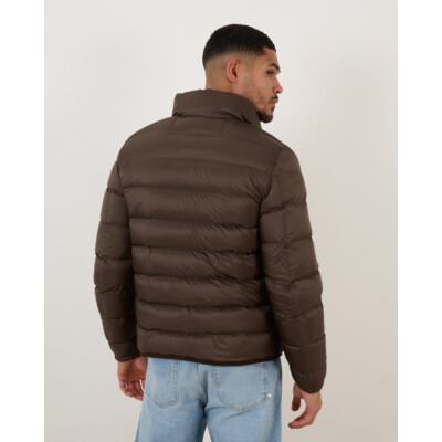 Ten-C Down Liner Jack Green Lizard