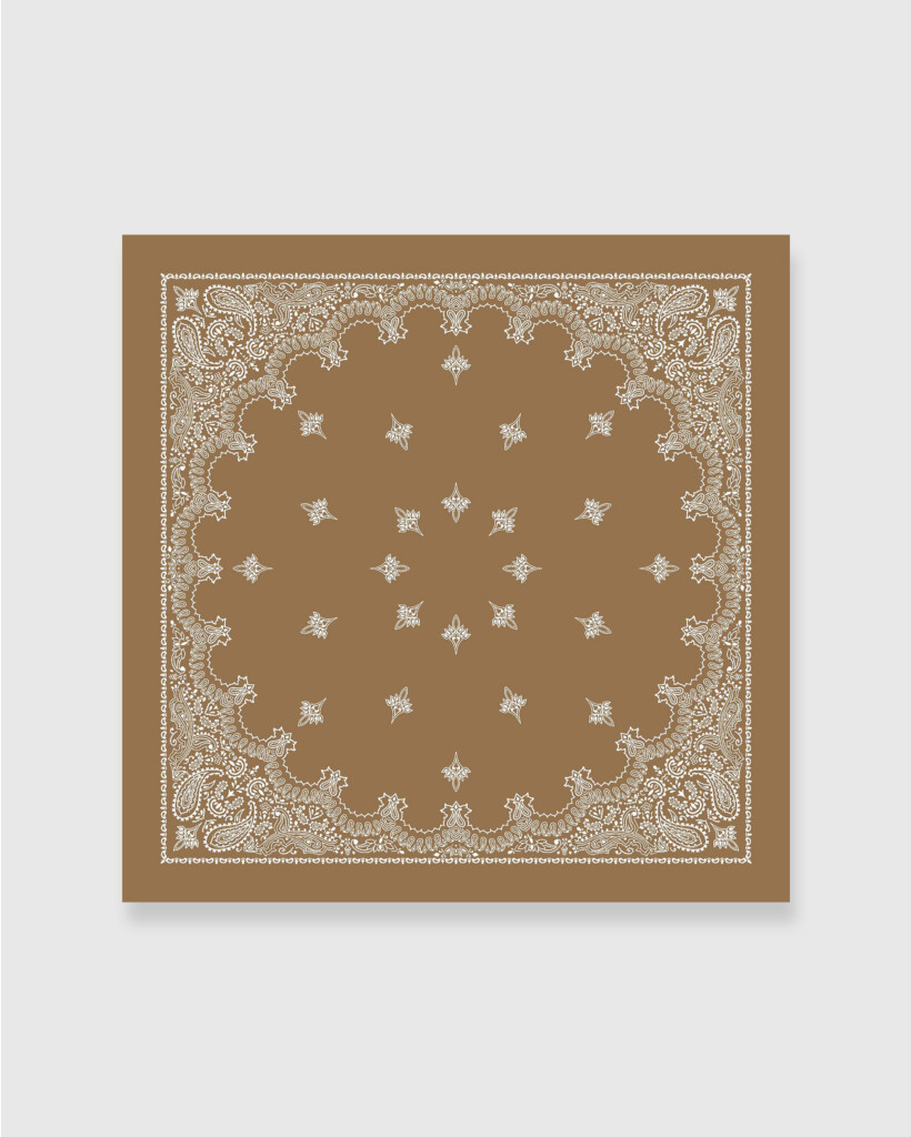 Judy Carre Shawl Vicuna