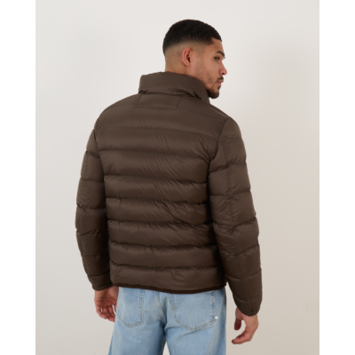 Ten-C Down Liner Jack Green Lizard