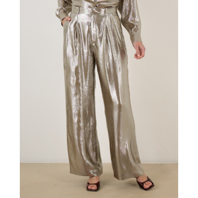 Indress Freesia Pantalon Silver
