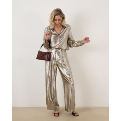 Indress Freesia Pantalon Silver