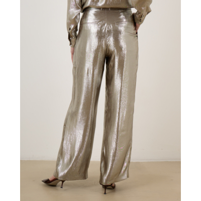 Indress Freesia Pantalon Silver