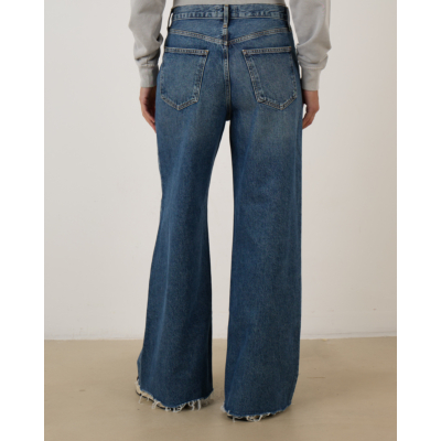 Agolde Dame Jeans Control