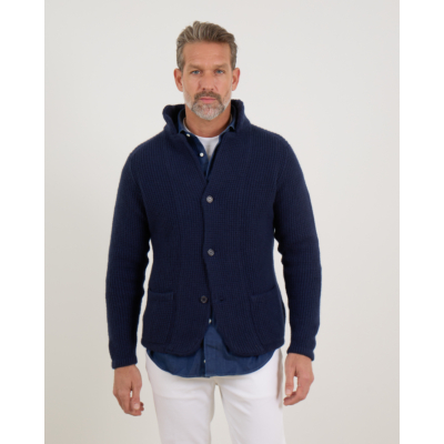 Doriani Cashmere Wollen en Kasjmier Vest met Knoopsluiting Navy Blauw