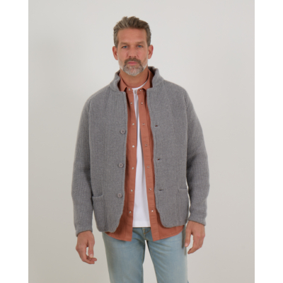 Doriani Cashmere Wollen en Kasjmier Vest met Knoopsluiting Grijs