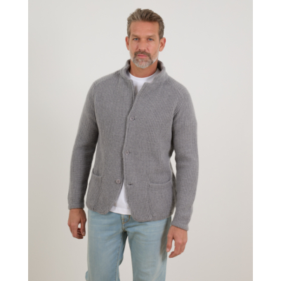Doriani Cashmere Wollen en Kasjmier Vest met Knoopsluiting Grijs
