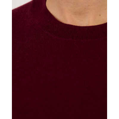 Weekend Max Mara  Pullover Korte Mouw Bordeaux