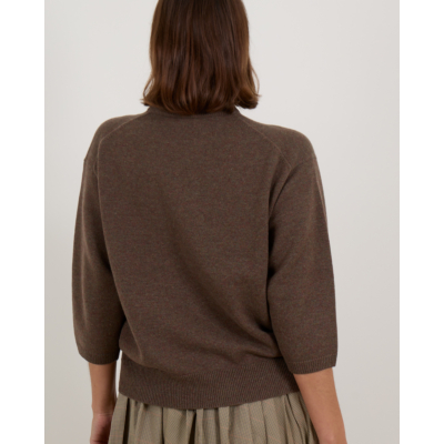6397 Cashmere Sweater Kortemouw En V-hals Mud