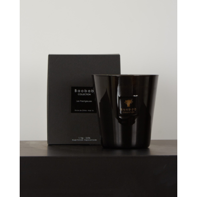Baobab Collection Geurkaars Encre de Chine Max16